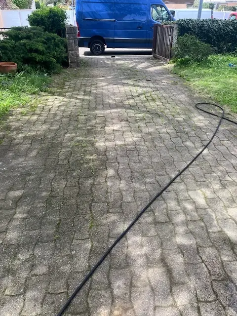 Avant : Une allée pavée verdie par la mousse, un tuyau posé dessus.