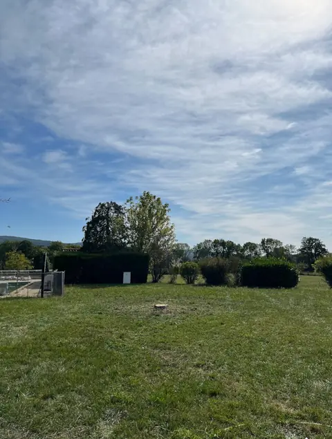 Après : La souche d'un arbre coupé au ras, au milieu de la pelouse.