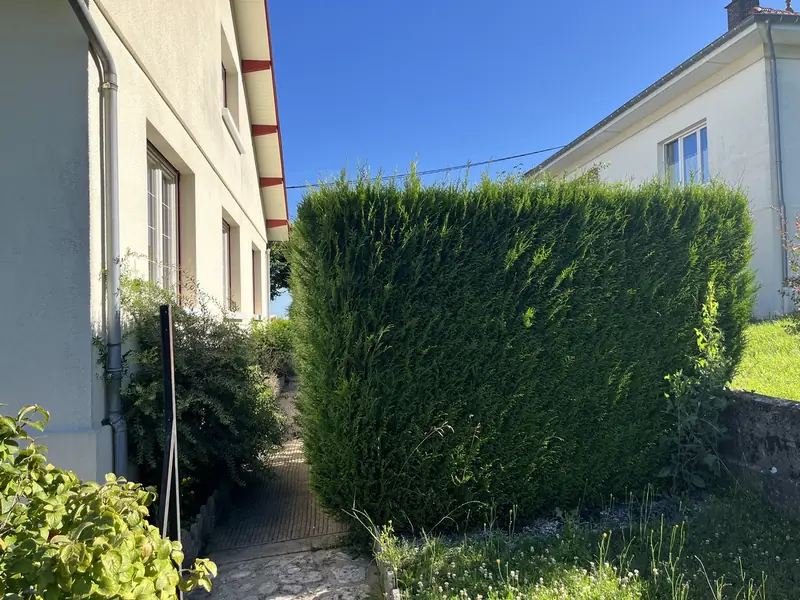 Avant : Une haie haute le long d'une allée, entre deux maisons.