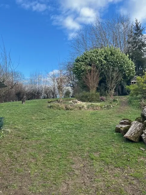 Après : Le jardin dégagé, le bois débité rangé sur le côté.