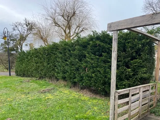 Avant : Une longue haie touffue, derrière un portique en bois.