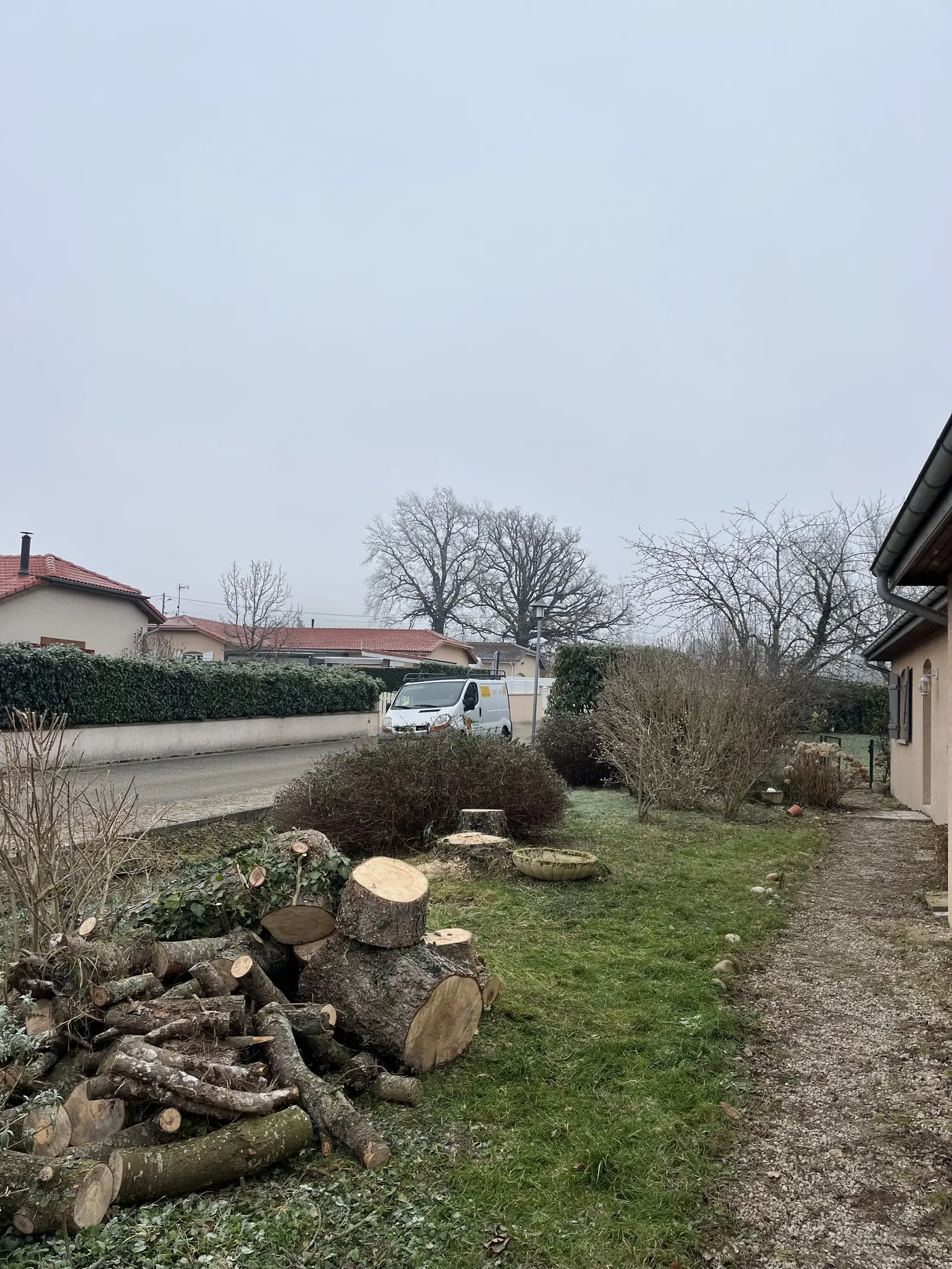 Un tas de bûches et de branches débitées sur une pelouse givrée, près de souches coupées au ras du sol, le long d'une allée.